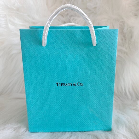 TIFFANY&CO. SMALL GIFT BAG BRAND NEW WITH MESSAGE CARD AND ENVELOPE - Picture 1 of 6
